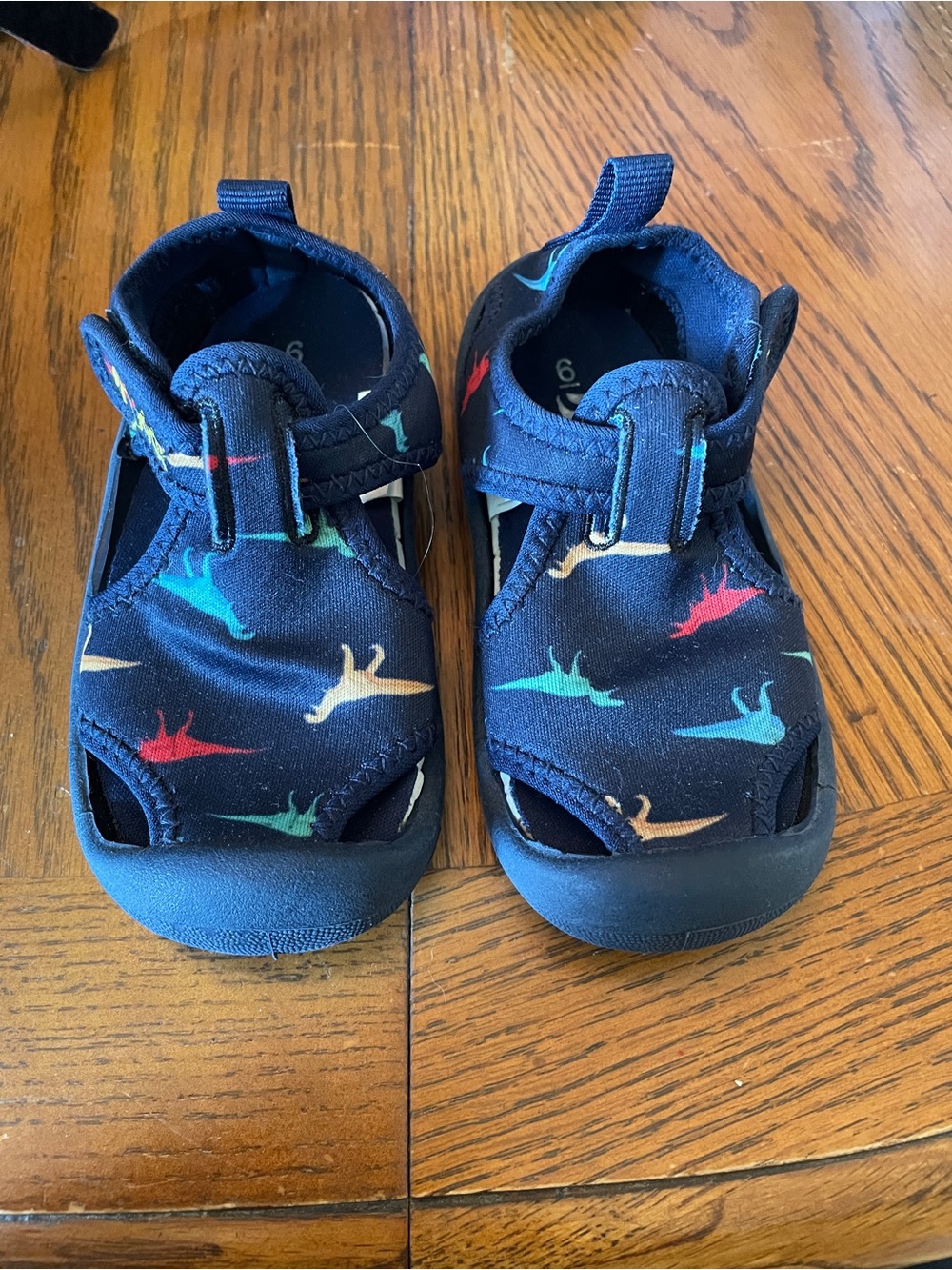Kids Navy Dinosaur water Shoes